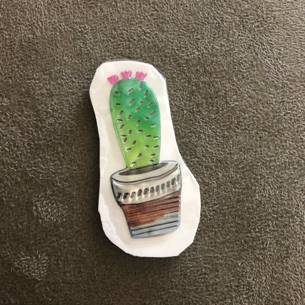 Succulent magnet set - Picture 3 of 6